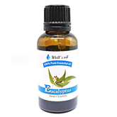 WELL'S ESSENTIAL OIL EUCALYPTUS 1OZ